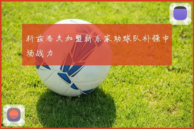 科兹洛夫加盟新东家助球队补强中场战力