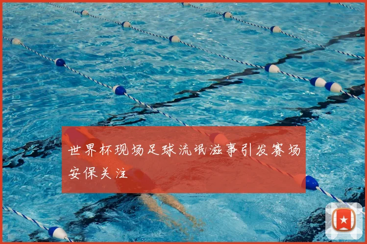 世界杯现场足球流氓滋事引发赛场安保关注