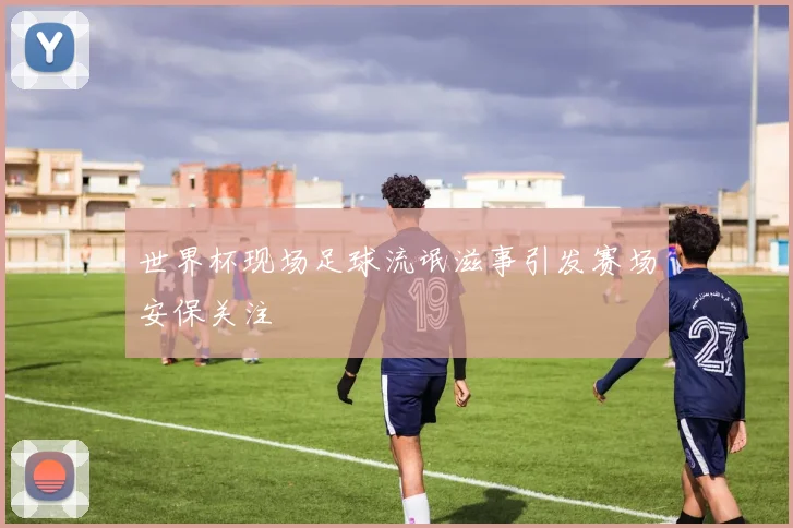 世界杯现场足球流氓滋事引发赛场安保关注