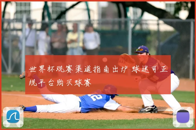 世界杯观赛渠道指南出炉 球迷可正规平台购买球赛