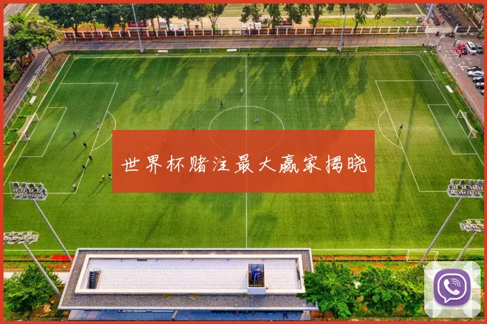 世界杯赌注最大赢家揭晓