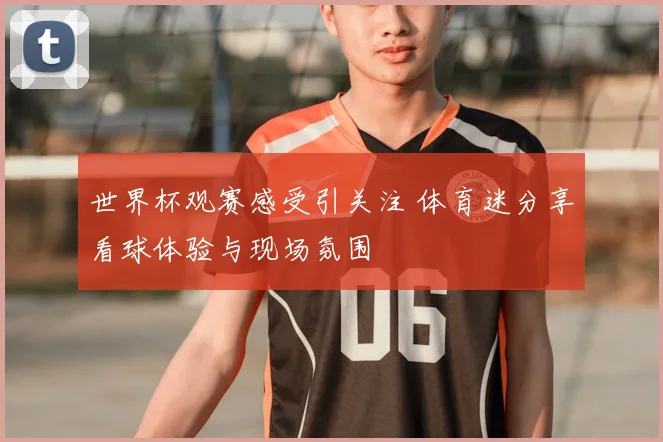 世界杯观赛感受引关注 体育迷分享看球体验与现场氛围